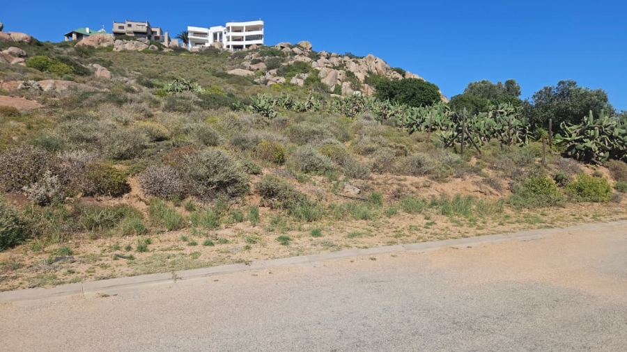 0 Bedroom Property for Sale in Blueberry Hill Western Cape